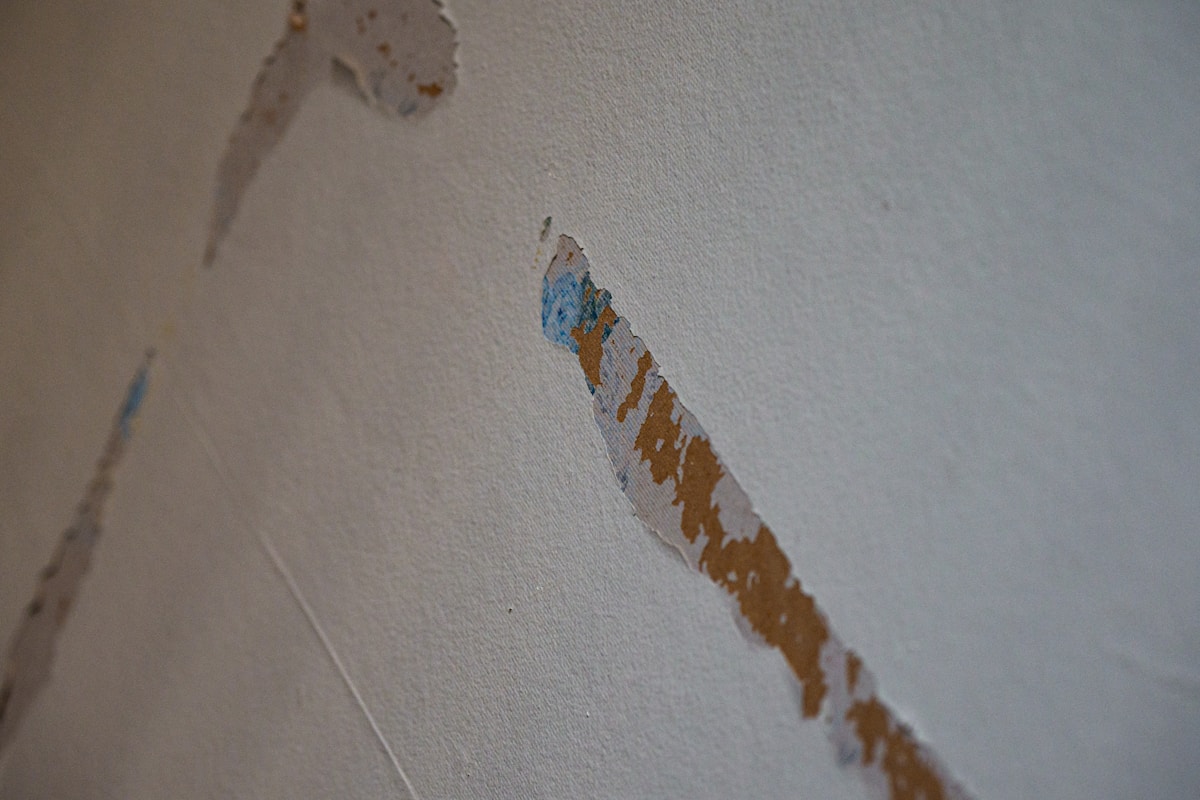 Water Extraction service in Grapevine, TX